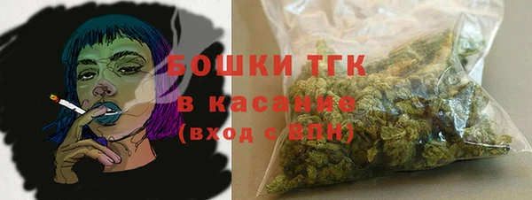 гашик Белоозёрский