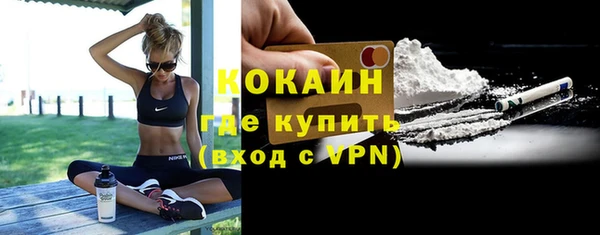 гашик Белоозёрский